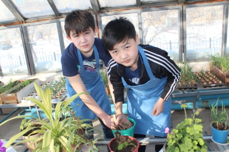 «МИР НАУКИ И ОТКРЫТИЙ»  ДЛЯ ЮНЫХ БИОЛОГОВ И ХИМИКОВ