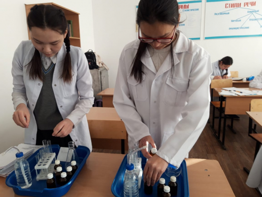 Районный/городской этап республиканской олимпиады школьников по общеобразовательным предметам