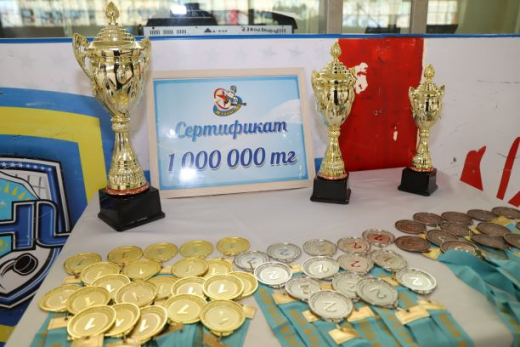 Итоги турнира «Жұлдызша» по хоккею с шайбой среди детско-юношеских команд городов и районов Восточно-Казахстанской области, Посвященного пропаганде гражданского героизма декабрьских событий