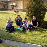 Дата добавления: 2016-11-11 03:50:27